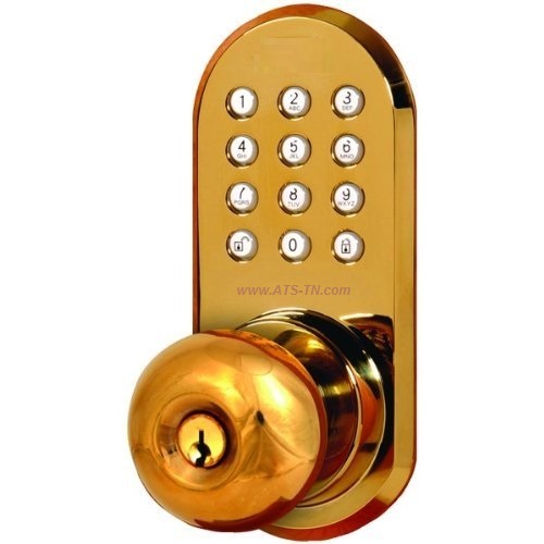 remote door lock